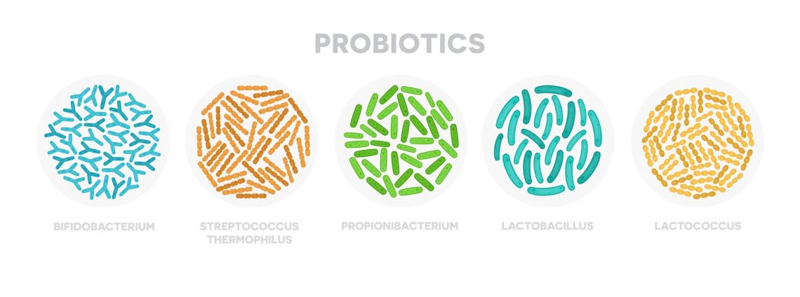 Probiyotikler nelerdir