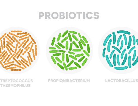 Probiyotikler nelerdir